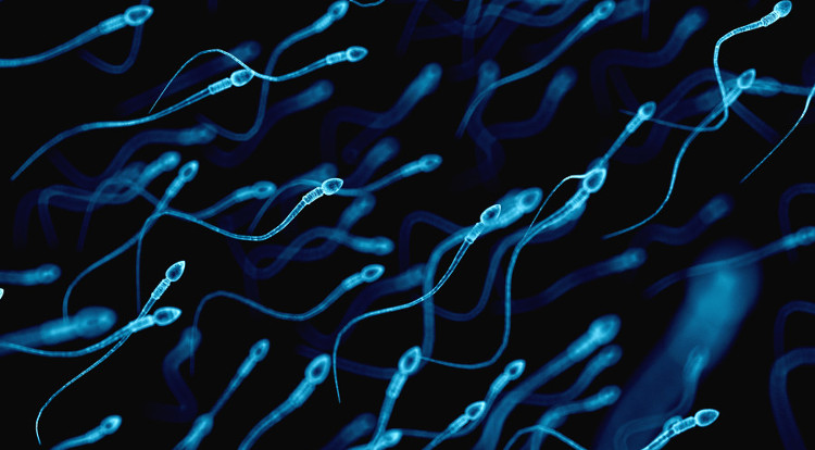 Picture 2 of With just one injection, male birth control pills are up to 98% effective.