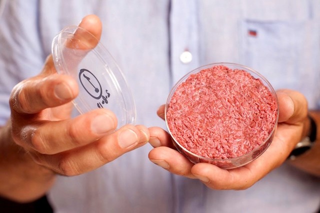 Picture 9 of Without rice, what will humans eat?