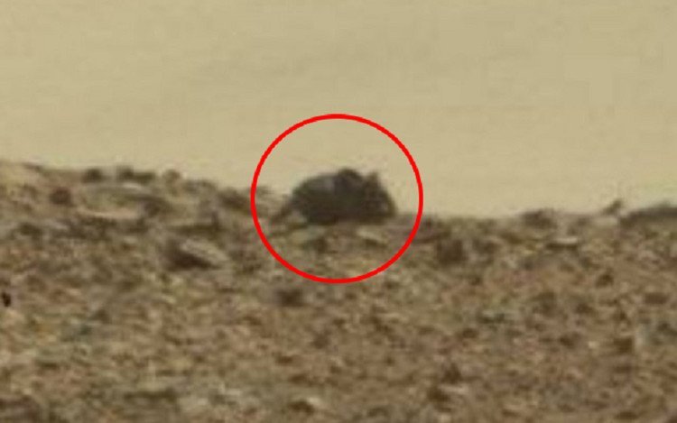 Picture 3 of 'Woman' hides behind a rock on Mars