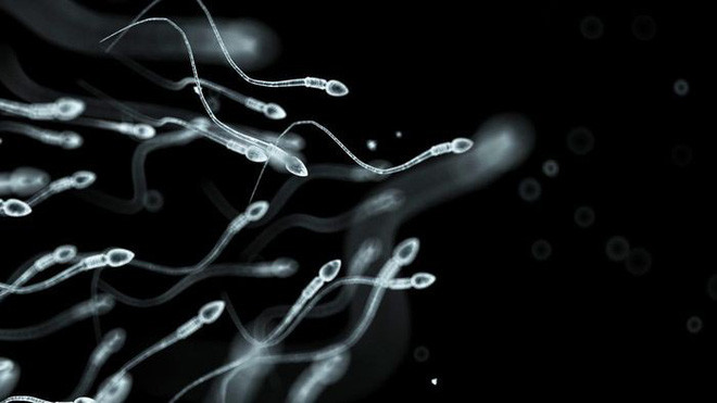 Picture 3 of Women store the DNA of every man they have ever had sex with