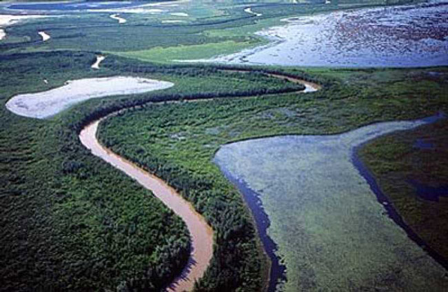 Picture 2 of Wood Buffalo - Canada National Park