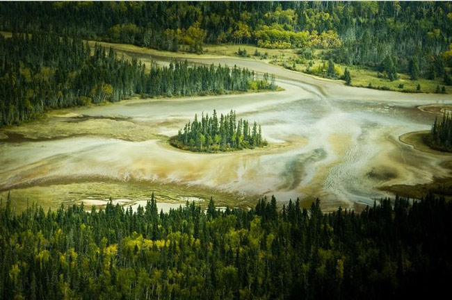 Picture 3 of Wood Buffalo - Canada National Park