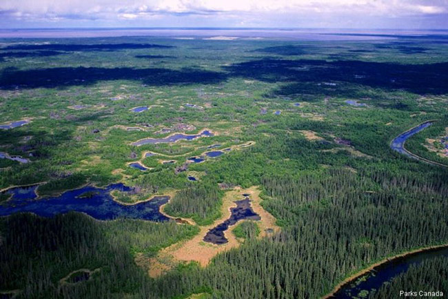 Picture 4 of Wood Buffalo - Canada National Park