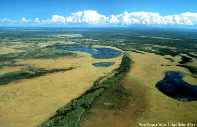 Picture 5 of Wood Buffalo - Canada National Park