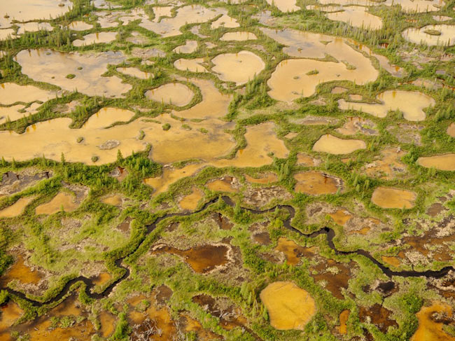 Picture 6 of Wood Buffalo - Canada National Park