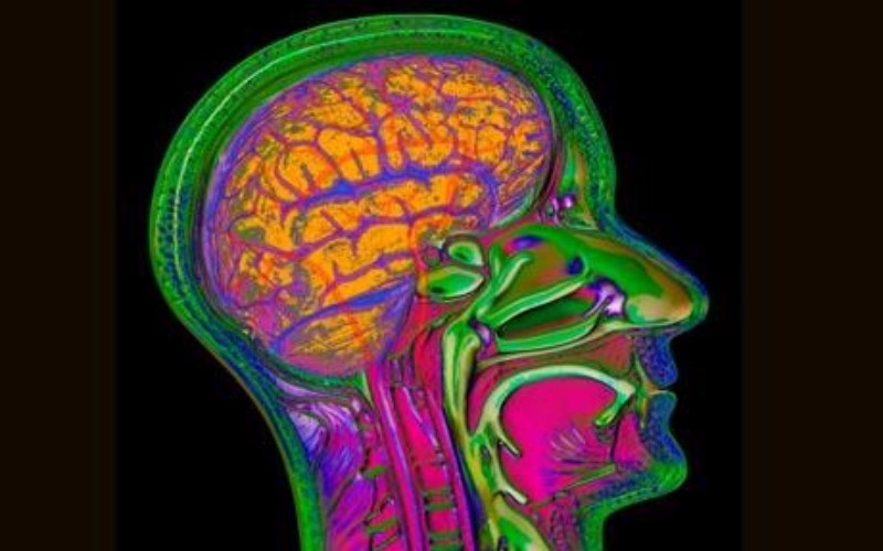 Picture 3 of Working more than 55 hours a week increases the risk of arrhythmia