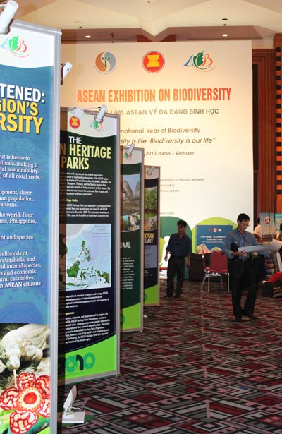 Picture 2 of World biodiversity hot spots: ASEAN