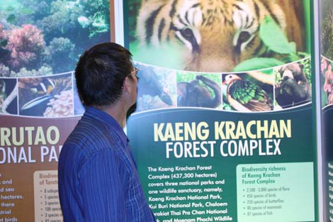 Picture 3 of World biodiversity hot spots: ASEAN