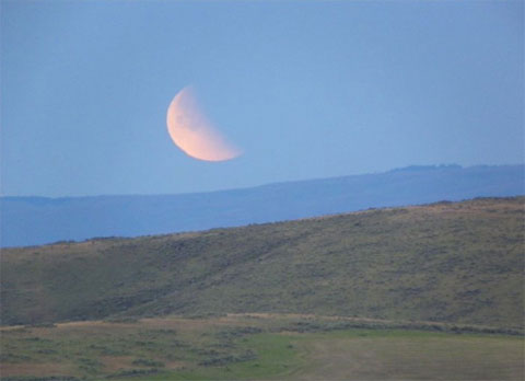 Picture 3 of World eclipse of the world