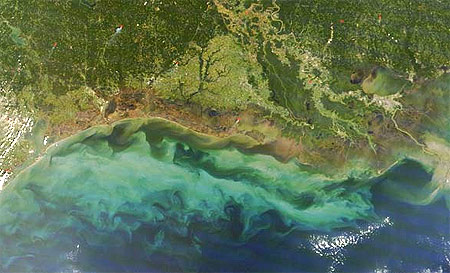 Picture 10 of World of 2008 viewed from satellites