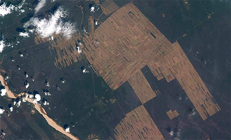 Picture 12 of World of 2008 viewed from satellites
