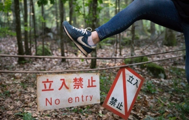 Picture 13 of Wrong survival tips on movies, never follow