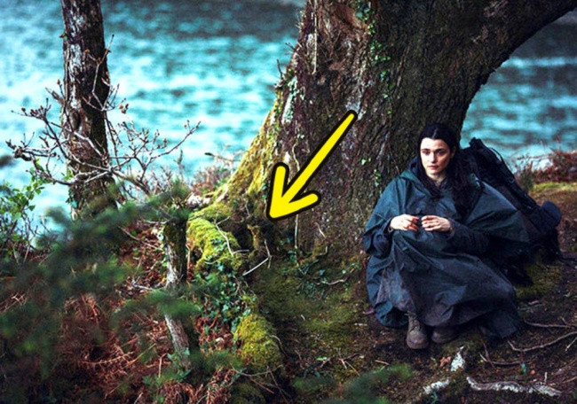 Picture 5 of Wrong survival tips on movies, never follow