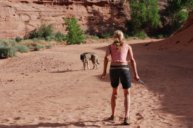 Picture 7 of Wrong survival tips on movies, never follow