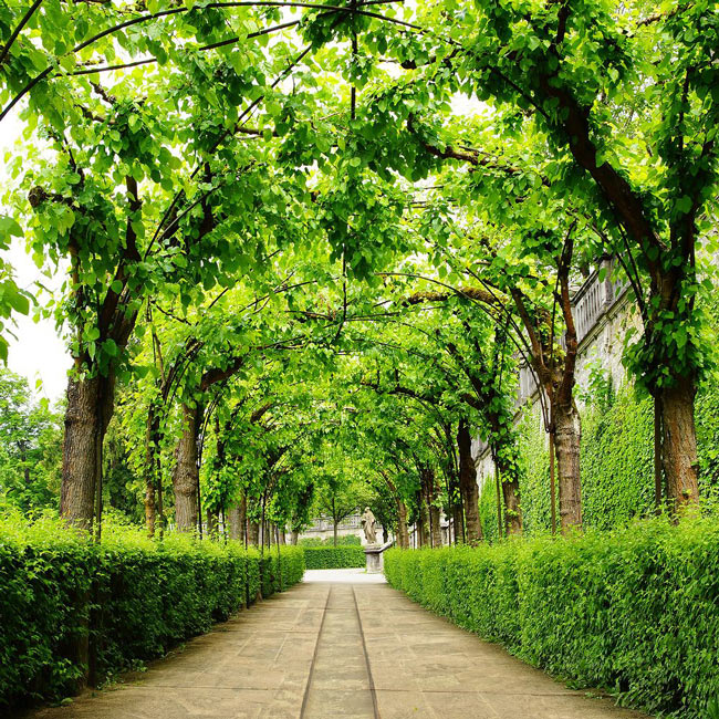 Picture 7 of Wurzburg - Germany