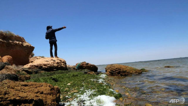 Picture 1 of WWF: The Mediterranean is about to become