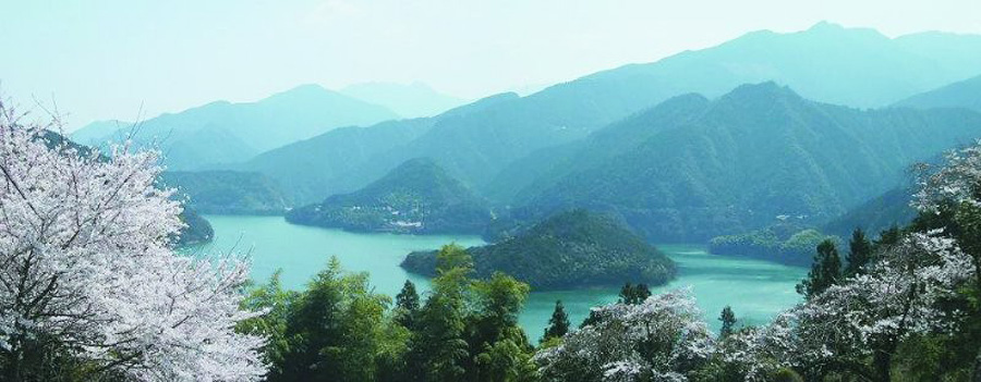 Picture 9 of Y Ty on top of the secret treasure of Asian tourism