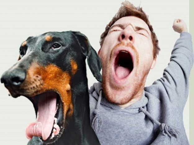 Picture 2 of Yawning is one of the biggest mysteries of humans
