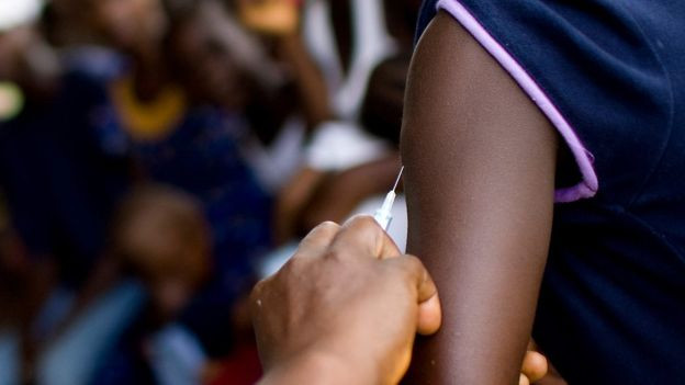 Picture 1 of Yellow fever is at risk of a global outbreak