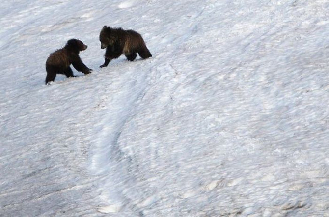 Picture 4 of Yellowstone National Park - United States of America