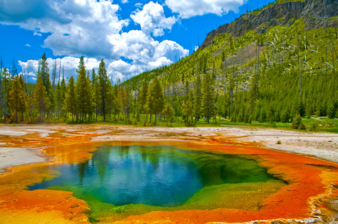 Picture 7 of Yellowstone National Park - United States of America