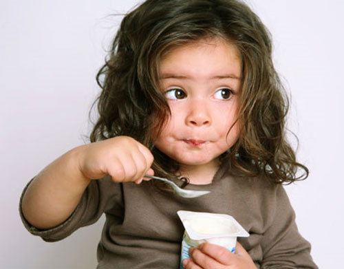 Picture 1 of Yogurt - the medicinal spirit of the immune system
