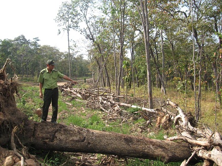 Picture 1 of Yor-Don National Park calls for help
