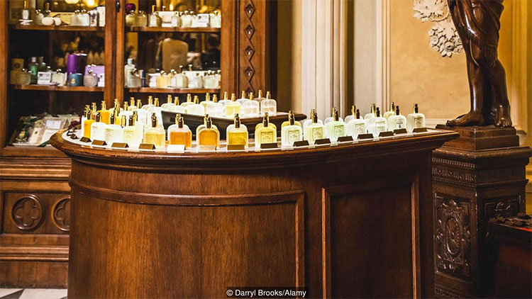 Picture 5 of You are watching the flowers with the most rare and expensive scents in the world