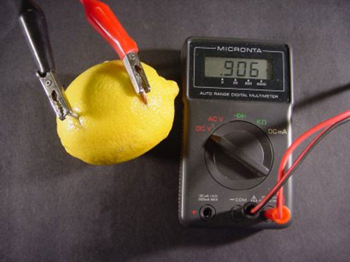 Picture 4 of You can use lemon to charge your phone but how much fruit will we need?