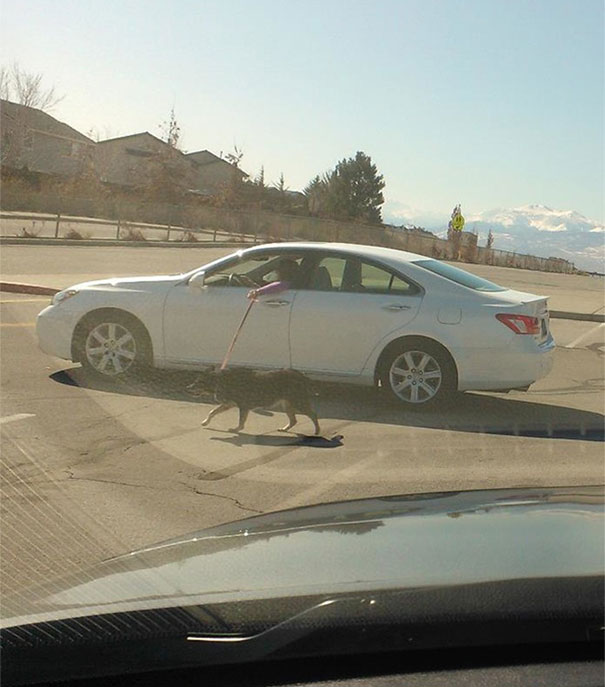 Picture 22 of You can't stop laughing with the 30 most lazy people in the world