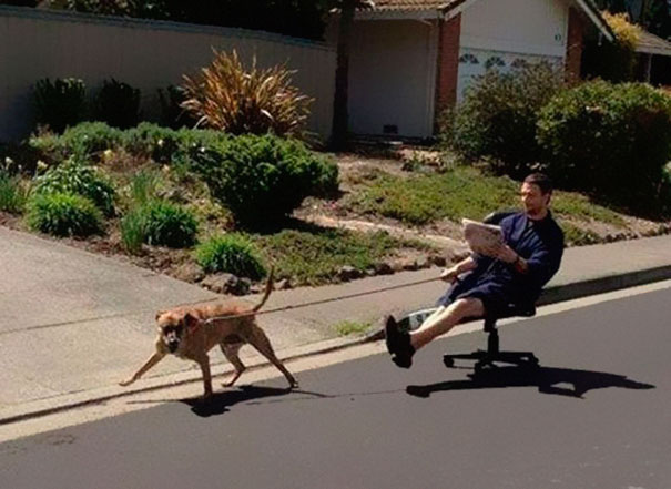Picture 9 of You can't stop laughing with the 30 most lazy people in the world