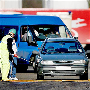 Picture 5 of You deal with bird flu
