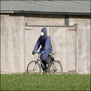 Picture 8 of You deal with bird flu