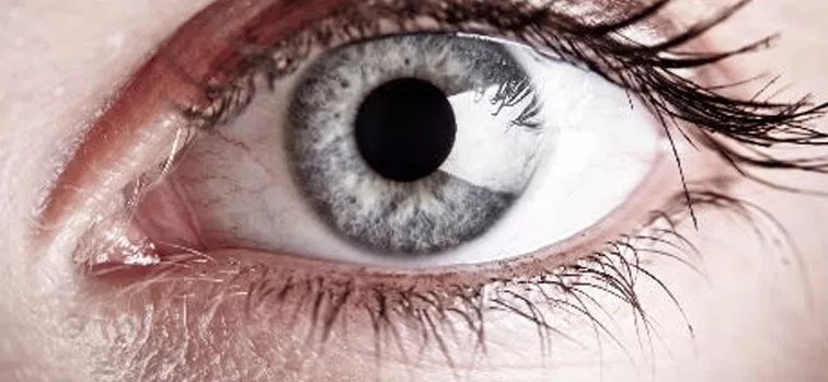 Picture 3 of You won't believe these horrific images are your body