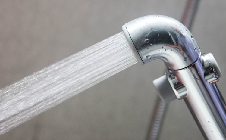 Picture 4 of You won't see a toilet spray when you arrive in the US - why?