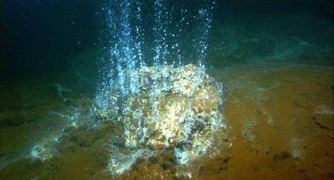 Picture 2 of Zinc and new hypotheses about the origin of life