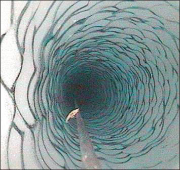 Picture 3 of Еuroрa hides 3 million tons of extraterrestrial organisms