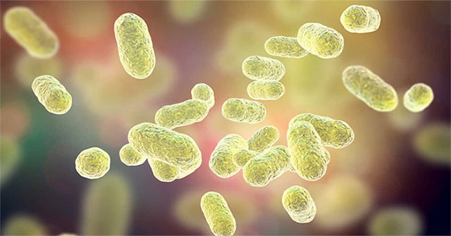 Detecting bacteria causing cancer, diabetes