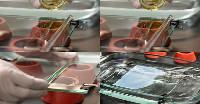 Turn discarded plastic bottles into chemical filters