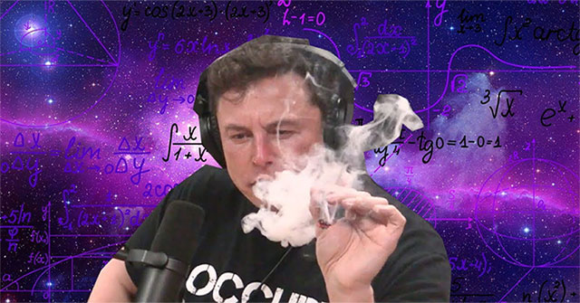 Elon Musk is about to bring a marijuana plant into space