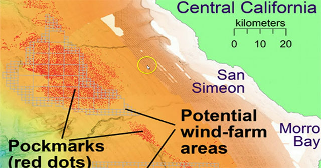 Thousands of mysterious holes appear on the bottom of the California Sea