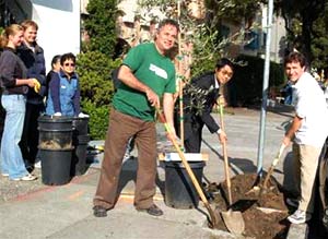 1 million green trees to