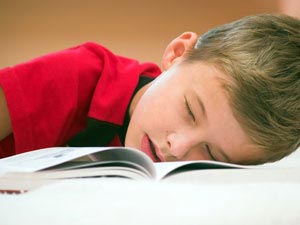 1 night sleeplessness also makes the 'shut down' brain temporarily!