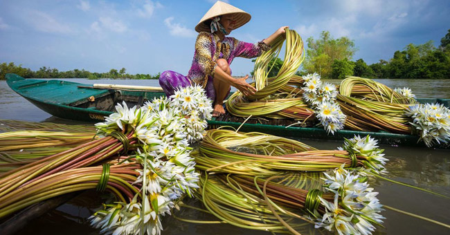 10 beautiful Vietnamese photos are appreciated at the 2015 photo contest