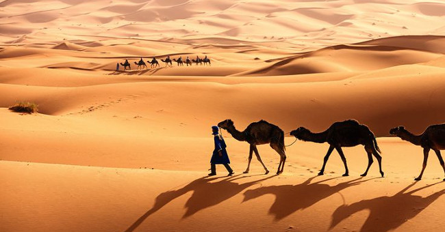 10 desert - big desert in the world