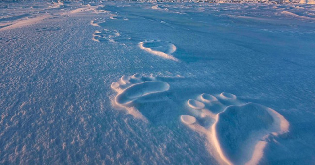 10 great photos of permafrost