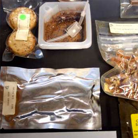 10 interesting facts about astronauts' food