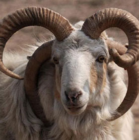 10 interesting things about nature you may not know