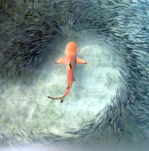 10 most beautiful nature photos of 2015