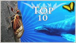 10 most exotic types of animals
